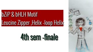 DNA MotifsHelix loop helixleucine zipper [upl. by Hatti]