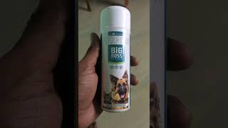 🐕Mandai dog puppy🐶 Applying powder💯 🪲Tick amp Flea🕷vetri [upl. by Yaakov]