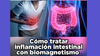 BIOMAGNETISMO  ¿Como tratar la inflamación intestinal con Biomagnetismo [upl. by Aivilo]