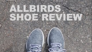 REVIEW  Allbirds Shoes [upl. by Etteiluj422]