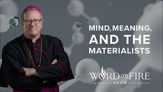 Mind Meaning and the Materialists  Bishop Robert Barron new [upl. by Carin]