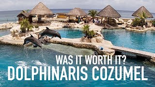 Dolpinaris Cozumel Is This Cruise Excursion Worth The Money [upl. by Leber]