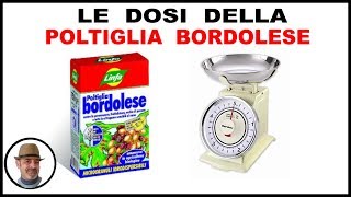 LE DOSI POLTIGLIA BORDOLESE per ogni pianta ed ortaggio [upl. by Valoniah]