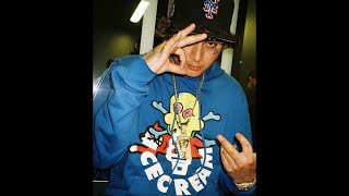 FREE Shoreline Mafia x OhGeesy Type Beat  quotwest hoequot [upl. by Alesram]