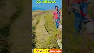 Cg dhan katai yaro bhaiytshorts ypstar1cgviral video ❤❤❤ punjabi [upl. by Pellet]