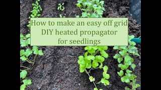 How to make an easy DIY heated propagator for seedlings [upl. by Assetniuq]