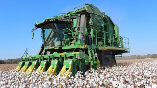 Epic Cotton Harvest in Adamsville TN [upl. by Leirea]