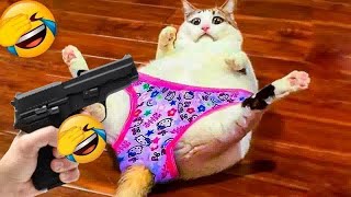 😹 Pets Being Silly A Compilation of Laughs 😹 Funny Videos Every Days 🐱 [upl. by Arnold]