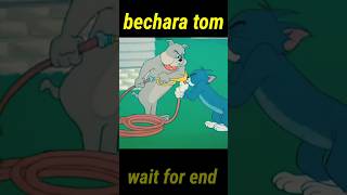 bechara tomshorts trending viral entertainment [upl. by Aecila549]