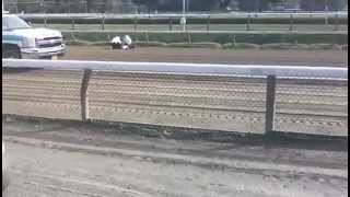 Shocking Video Jockey Falls Off Horse Travers Day [upl. by Ahselet]