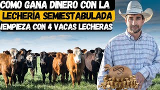 como Gana Dinero con la Lechería Semiestabulada ¡Empieza con 4 Vacas lecheras [upl. by Goer356]