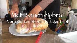 Mein erstes Sauerteigbrot 🍞 vom Starter zum Brot 🥰 [upl. by Lentha]