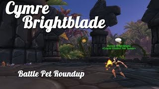 Cymre Brightblade Guide [upl. by Manwell981]