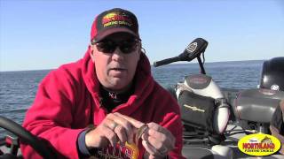 Northland Tackle Scott Glorvigen Stinger Hook [upl. by Enyrehtac]