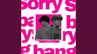 Sorry Bang Remix [upl. by Vorfeld]