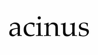 How to Pronounce acinus [upl. by Yarehs]