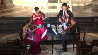 Attacca Quartet plays Haydn Op 76 no 2 quotFifthsquot  First Movement [upl. by Mit]