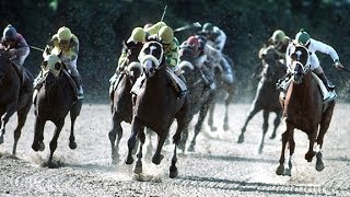 1991 Belmont Stakes  Hansel [upl. by Patterman]