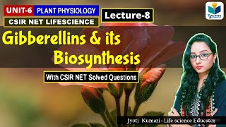 GIBBERELLIN AND ITS BIOSYNTHESIS PHYTOHORMONEPART8CSIR NET [upl. by Adnoryt]