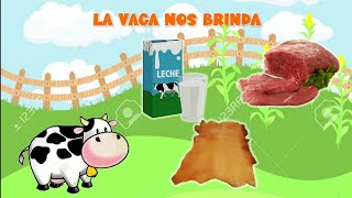 Derivados de los animales para niños [upl. by Littlejohn]