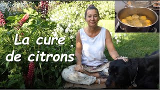 🍋 On a testé la cure de citrons bio  cure miracle mais pas pour tous [upl. by Leitao]