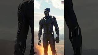 Black panther fight best scenes ever [upl. by Annasus16]