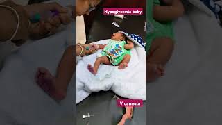 2day baby hypoglycemia iv cannula insert 🥹🥹shortvideo newborn hypoglycemia cannula shorts [upl. by Notirb277]