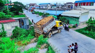 Wonderful First Start New Project LANDFILLING BY Expert Driver Skill Dozer KOMATSU D31P amp Dump Truck [upl. by Sprung64]