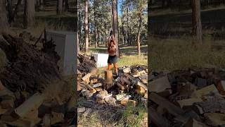 One Chop ONLY woodchopping woodgirl axe climbing woodworkinggirl onechop choppingqueen [upl. by Johnath]