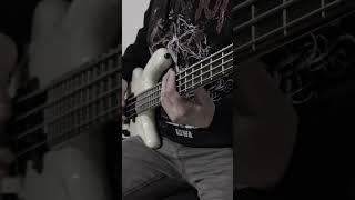 Aerials Bass Cover bass systemofadown basscover [upl. by Kenzie]