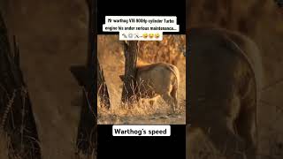 Mr warthog V16 900Hp cylinder Turbo engine his under serious maintenance [upl. by Vinni]