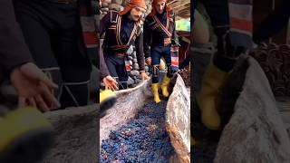 Wine Making Process In Easy Step [upl. by Mccullough]