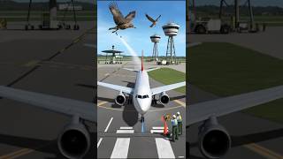 How Airplanes Avoid Dangerous Bird Strikes [upl. by Nigam]