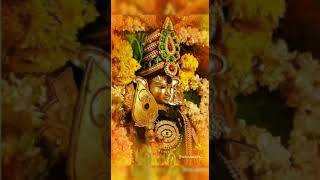 Theeyaga thondri murugan song 🙏shortsfeed murugansongs aranmanai3 [upl. by Introk]