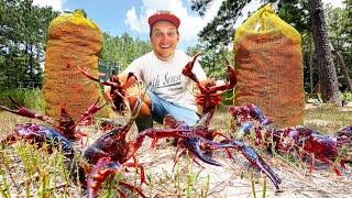 Stocking MASSIVE Crawfish for a WORLD RECORD Bass in my Backyard Pond [upl. by Ocihc851]