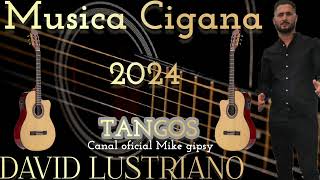 MUSICA CIGANA 2024 DAVID LUSTRIANO rumbaportuguesa musicacigana [upl. by Shirleen]