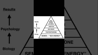 SEMEN RETENTION NATURES GIFT THAT KEEPS GIVING Part 17 shorts semenretention selfimprovement [upl. by Ybanrab263]