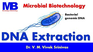 DNA Extraction  Biotechnology  Vivek Srinivas  Molecularbiology Biotechnology [upl. by Ob430]