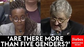 How Many Genders Are There John Kennedy Questions Human Rights Campaign Chief About Gender [upl. by Raffarty]