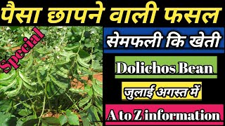 Sem ki high production kheti सेम फली कि सम्पूर्ण जानकारीdolichos farmingbalod farming [upl. by Ley]