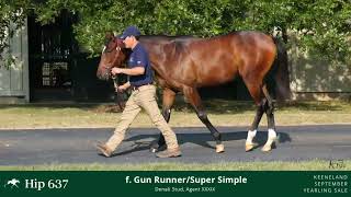 Gun Runner filly hip 637 acquired at Keeneland September yearling sale [upl. by Rowney680]