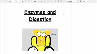 CCEA GCSE Biology enzymes [upl. by Alaek55]