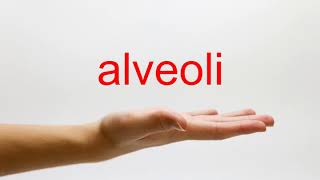 How to Pronounce alveoli  American English [upl. by Anastos599]