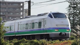 特急しらゆき2号新井行き【4K】E653系H202編成信越本線上り52M [upl. by Kimberlyn]