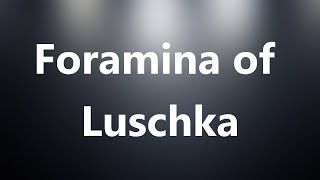 Foramina of Luschka  Medical Definition and Pronunciation [upl. by Alemaj487]