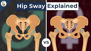 Why Do Womens Hips Sway When They Walk [upl. by Deland]