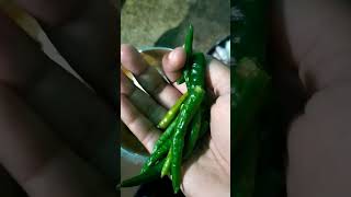 poiya saag ki sabjipart1 [upl. by Adniram]