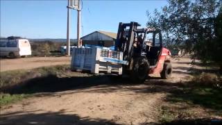 Manitou MH25 4T con volteador [upl. by Leizar]