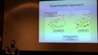 Studies on bacterial efflux pump inhibitors and their distribution in land plants [upl. by Finnegan935]