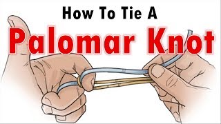 How To Tie A Fishing Knot How To Tie A Palomar Knot [upl. by Oshinski686]